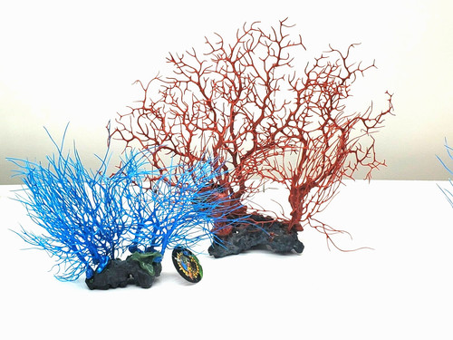 Red and blue aquarium - red,