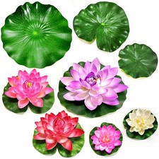 Lot de 8 plantes d'étang