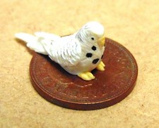 Poupées Maison Blanc Perruche