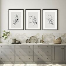 Grey wall art prints. Set of 3 monochrome botanical decor posters Eucalyptus
