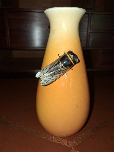 Vase signé massier valauris - vase,