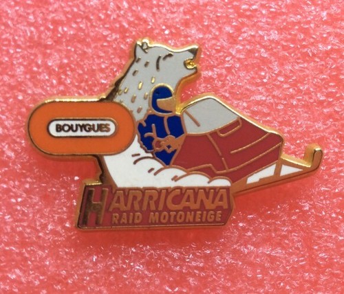 T04 pins arthus - t04,