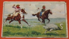 CHROMO 1942 MAES-ROMMENS CHASSE A TRAVERS LE MONDE EMEU