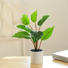 Plante artificielle design