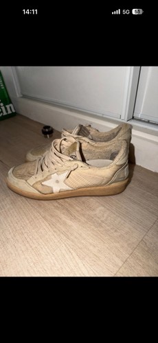 Golden goose - goose, 37