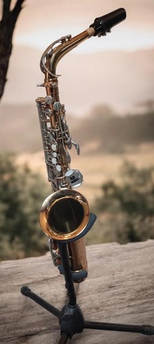 Saxophone alto dixon - saxophone,