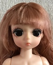 ROSE GOLD HAIR CUSTOM DOLL Jointed Body ~Neo Blythe Pullip Obitsu Azone BJD Type