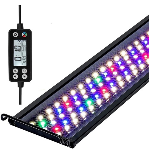 éclairage aquarium lumière - aquarium,
