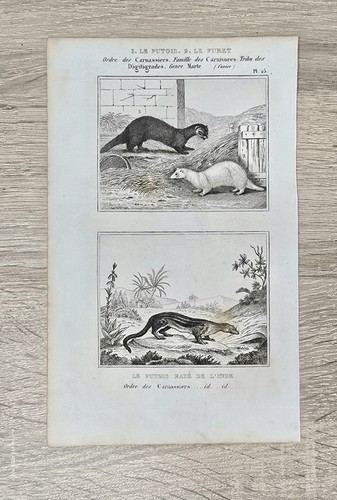 Original buffon histoire - original,