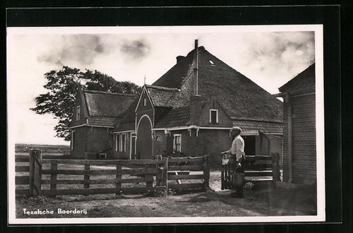 Carte postale texel - postale, ferme