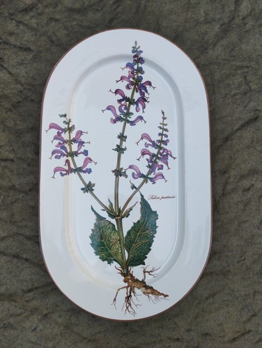 Grand plat ovale botanica - grand,
