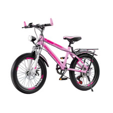 Vélo Fille 20 Pouces Neuf -