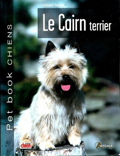 Cairn terrier gérard - terrier,