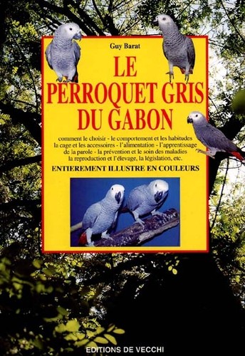 Perroquet gris gabon - perroquet, du