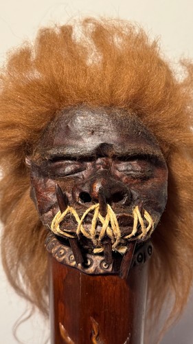 Shrunken head - shrunken,