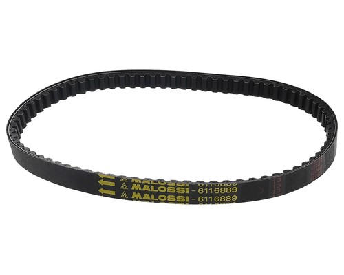 Courroie malossi special - courroie, belt