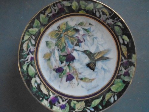 Assiette colibri royal - assiette, colibri;n°2/royal