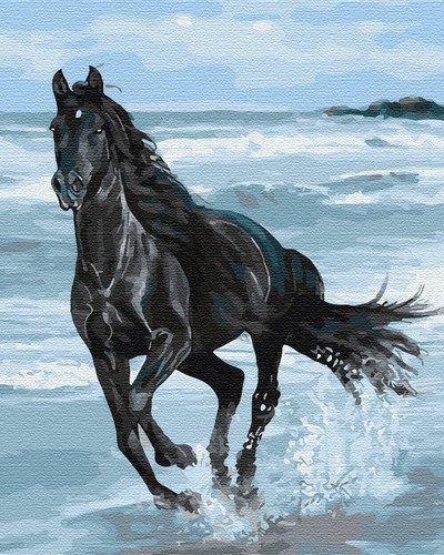 Peinture par numéros cadre - , en