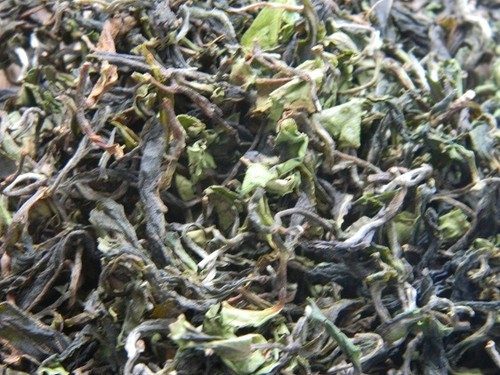 Darjeeling tea first - tea, flush