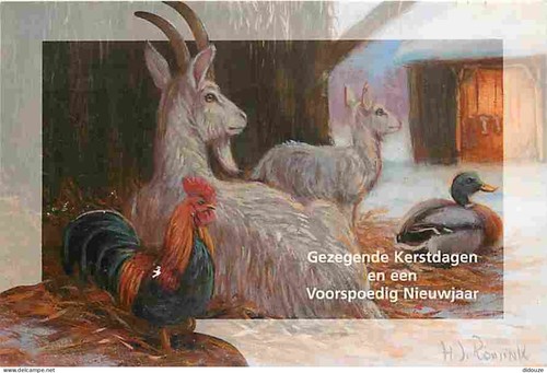 Carte postale animaux - -,