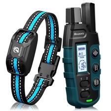 Collier de Dressage pour Chien