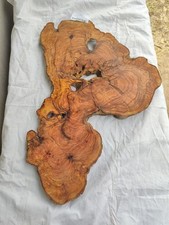 Rare dalle en bois d'olivier