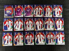LOT 18 CARDS CARTES PANINI