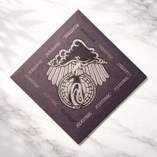 ALEMBIC BASSES AND GUITARS