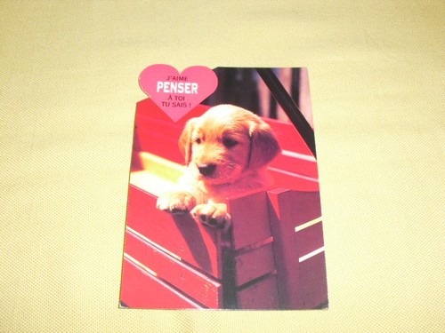 Carte postale humour animaux - postale,