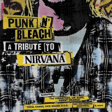 Various Artists Punk N'