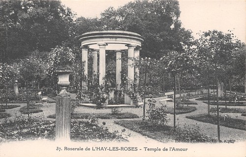Hay les roses - 94,