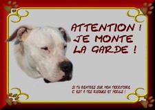 PLAQUE DE GARDE AMERICAN STAFF