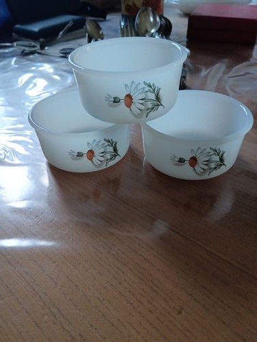 Arcopal ramequins decor - arcopal,