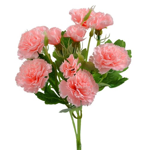 élégantes fleurs - Élégantes,