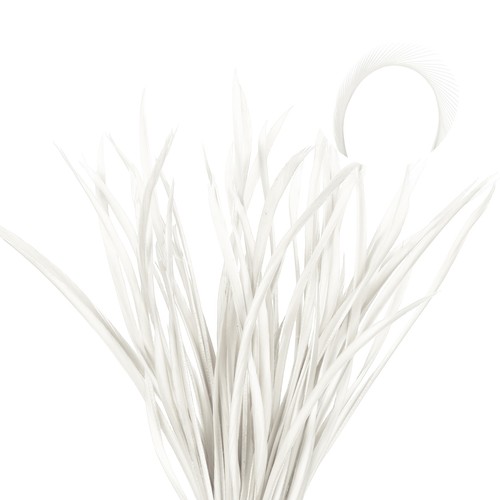 Pour pièces plumes oie - pour,