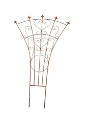 Treillage , paroi grimpante 