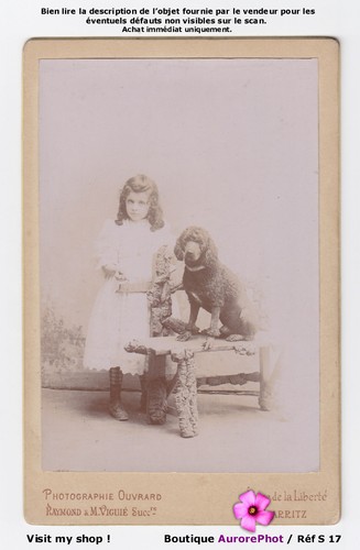 Fillette son chien - fillette,