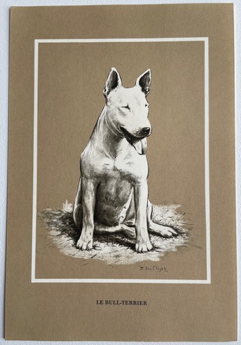 Chiens race le - chiens, de