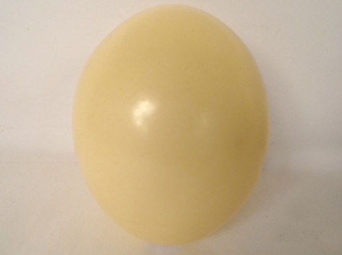 Oeuf autruche décoratif - oeuf, d'autruche
