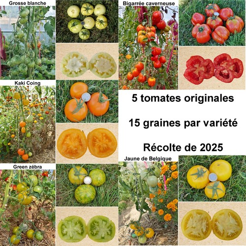 Graines 5 variétés de - graines,