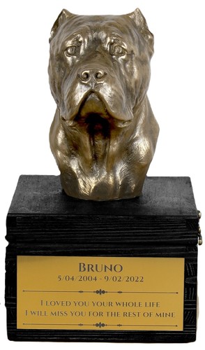 Cane corso collier gravage - corso,