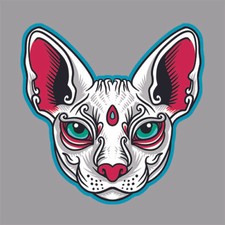 CHAT CAT HEAD SPHYNX JAPON