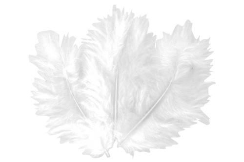 Plumes naturelles - 30,