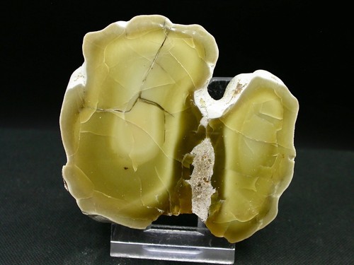 Agate polie couleur - couleur, naturelle