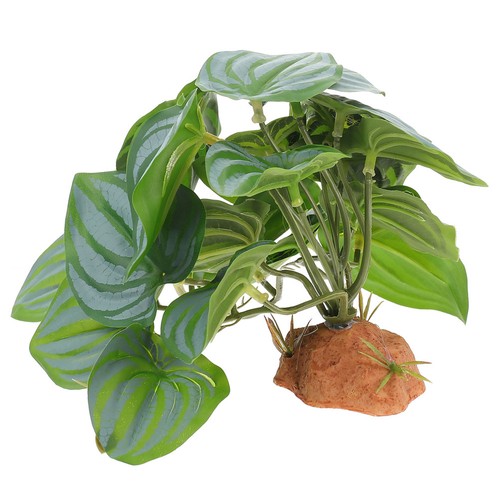 Plantes artificielles - plantes,