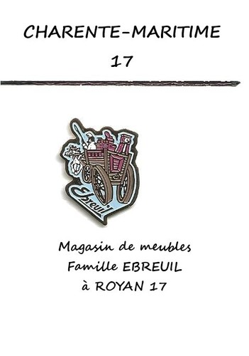 Superbe pin magasin de - pin's,