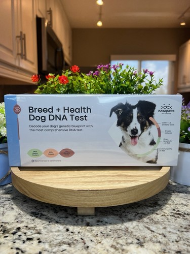 Basepaws dog dna testing kit - dog,