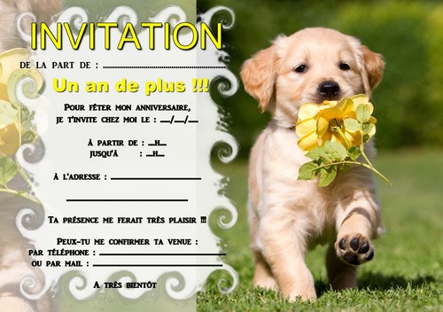 Cartes invitation - 5,