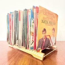 Lot 5 Disque Teinté +