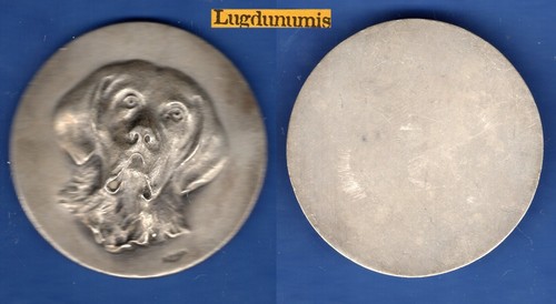 Médaille chien par dreux - chien,